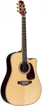 takamine-acoustic