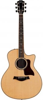 taylor-acoustic